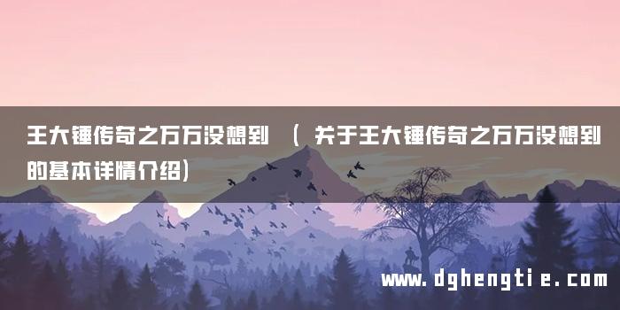 王大锤传奇之万万没想到 (关于王大锤传奇之万万没想到的基本详情介绍)